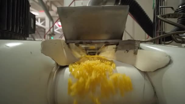 Modern factory conveyor moves raw spiral pasta at food facility. — Stock Video