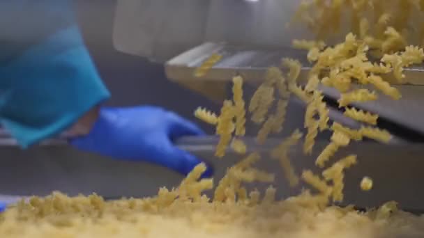 Gerente de control de calidad trabajando en la fábrica de pasta comprueba la calidad de los macarrones — Vídeo de stock