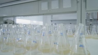 Üniversite Tıp ve Kimyasal Şişeleri 'nde İçi sarı sıvılarla dolu 