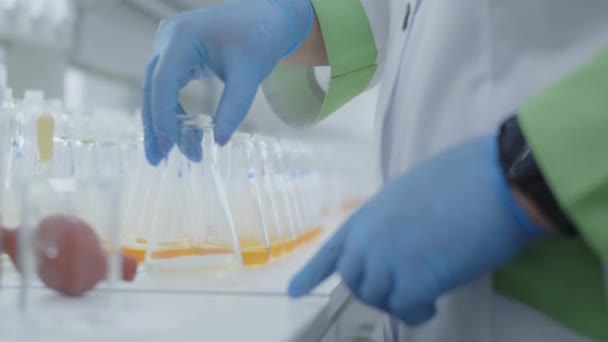 Chemist Mixing Chemical Substances In Laboratory. Trabajando en laboratorio químico — Vídeos de Stock