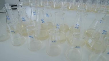 İçinde sarı sıvılar olan kimyasal eczane laboratuarı camları. 