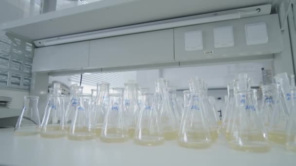 Vidrio de laboratorio con líquidos amarillos. Ángulo ancho — Vídeos de Stock