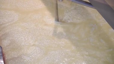 Süper Yavaş Hareket. Peynir yapmak için büyük fabrika. Mandıra Peyniri Üretimi Endüstrisi Kapatma
