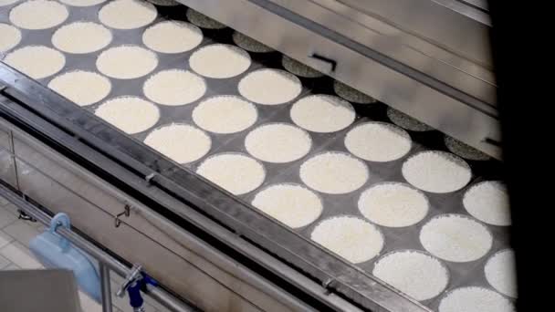 Factory Cheese Production Footage — Stock Video