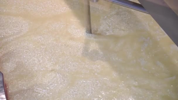 Süper Yavaş Hareket Peynir Yapmak Için Büyük Fabrika Mandıra Peyniri — Stok video