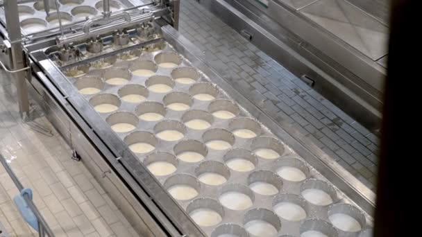 Peynir Yapan Süper Yavaş Hareket Süt Peyniri Üretimi Endüstrisi — Stok video