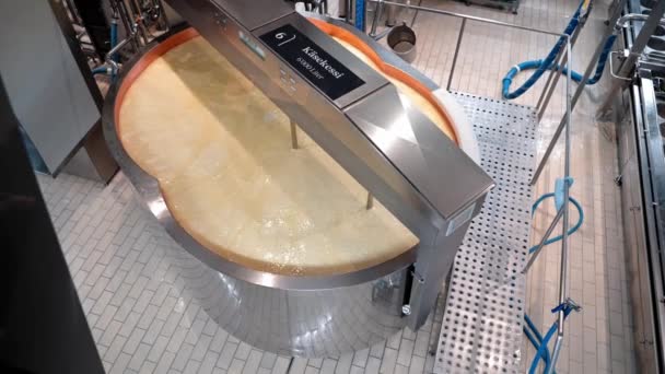 Super Slow Motion Making Cheese Producing Dairy Cheesemaking Industry — Stock Video