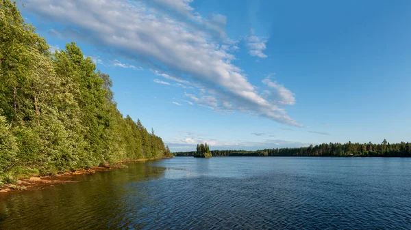 İsveç Arktik Pite Nehri Resimli ormanlık arazide akıyor