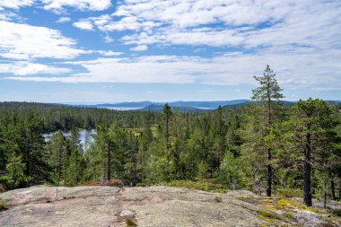 Stunning View of Skuleskogen National park and Sweden High Coast idyllic Wilderness near Archipelago of Baltic Sea. Famous Weekend escape with Steep mountains and deep Canyons.