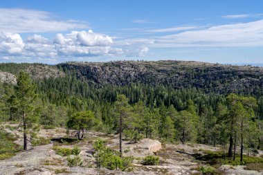 Stunning View of Skuleskogen National park and Sweden High Coast idyllic Wilderness near Archipelago of Baltic Sea. Famous Weekend escape with Steep mountains and deep Canyons.
