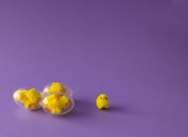 2022 Paskalya ve bahar konsepti. Üç tane sarı tavuklu cam yumurta ve bir tane de tek başına duran tavuk. Öz Sevgi, kutunun dışını düşün. Paskalya geçmişi. yaratıcı düzenleme.