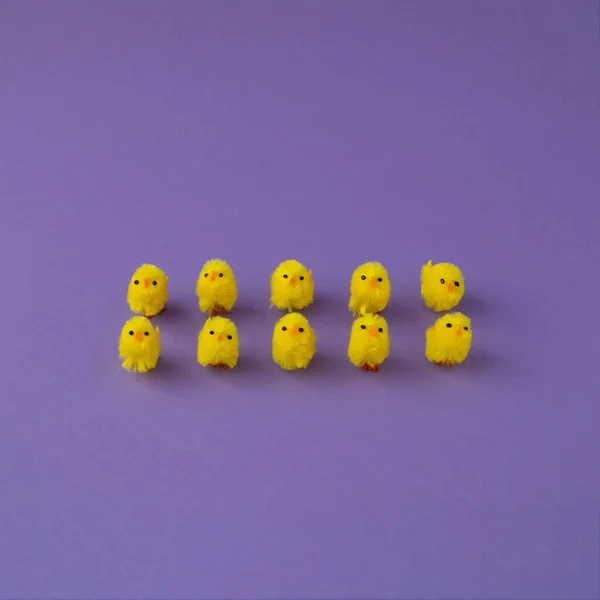イースターと春のコンセプト2022 面白い黄色の鶏が並んでいます イースターパープルの背景 創造的なイースターの配置 — ストック写真