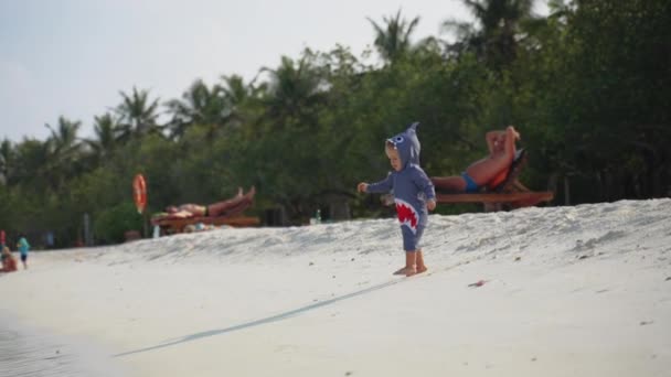 Little Toddler Shark Costume Runs Ocean Play Games Maldives Little — Videoclip de stoc