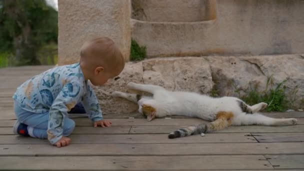 Blond Toddler Repeats Cat Pose Lying Wooden Planks Ancient Stone — Stockvideo