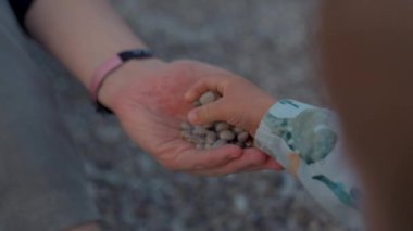 Toddler throws pebbles into hand of mother on blurred background. Woman and little boy sit on beach near sea at twilight closeup slow motion
