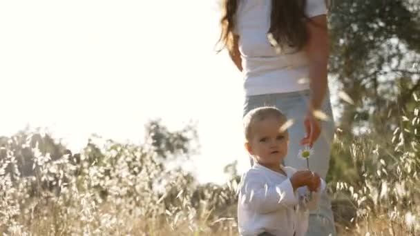 Little Blond Boy Holds Chamomile Wild Flower Standing Mother Dry — Stockvideo
