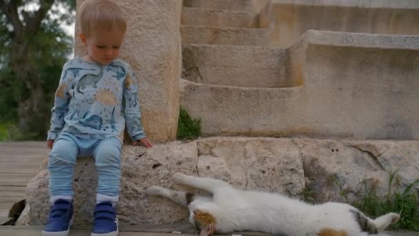 Toddler Sits Stone Building Cat Lying Wooden Planks Blond Boy — Stok video