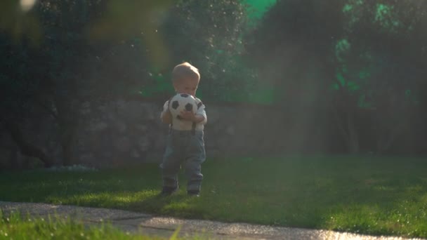 Toddler Walks Green Grass Yard Holding Soccer Ball Bright Sunlight — Wideo stockowe