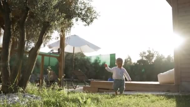 Happy Toddler Boy Walks Soft Green Grass Growing Modern Country — Video Stock