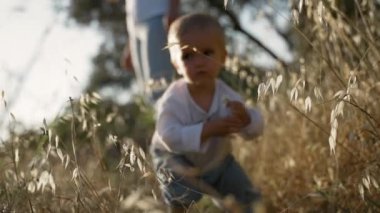 Cute toddler plucks wild flowers growing in yellowed meadow grass. Blond boy holds chamomile standing near mother at back sunset light closeup slow motion