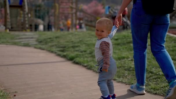 Cute Toddler Learns Walk Holding Father Hand Wooden Road Grass — Vídeo de Stock