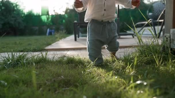 Toddler Walks Barefoot Green Grass Illuminated Sunlight Little Boy Stylish — Vídeos de Stock