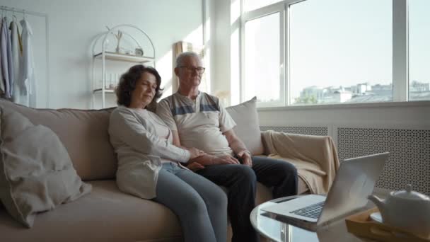 Elderly Couple Talks Children Video Call Living Room Big Window — Video Stock