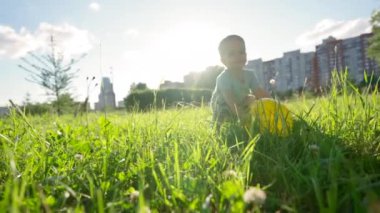 Toddler boy plays with ball on green grass in back lit. Boy throws ball smiling and laughing on sunny day. Child enjoys playing in park close low angle shot