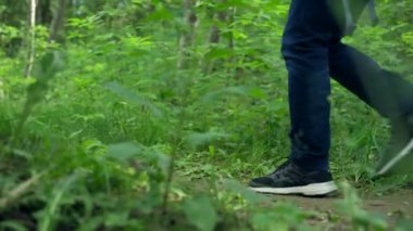 Man legs in blue jeans and sneakers walking across grass in dense forest. Guy hiker walks on forest small ground footpath low angle shot