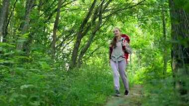 Young woman examines forest nature. Brown-haired lady wearing grey jacket and trousers walks looking around deep dense forest and enjoys hiking smiling