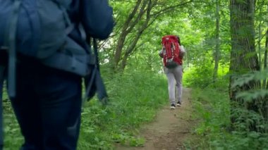 Couple of young people walks in green dense forest. Hikers partners with big backpacks enjoy spending vacation hiking together in huge forest slow motion