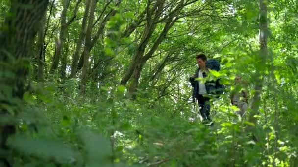 Пара Туристов Яркими Рюкзаками Гуляют Среди Густых Деревьев Зеленом Лесу — стоковое видео