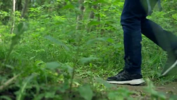 Man Legs Blue Jeans Sneakers Walking Grass Dense Forest Guy — Video Stock