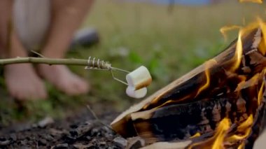 Unknown person holds stick with marshmallows cooking on campfire against blurry green grass. Marshmallows change color above bonfire flame on meadow closeup