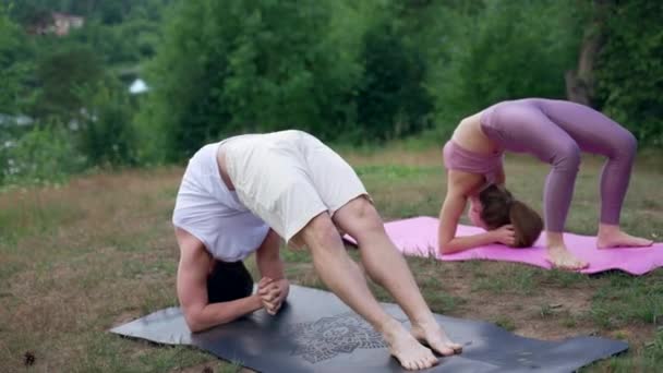 Young People Practice Yoga Asana Together Mats Grassy Hill Concentrated — Vídeo de Stock
