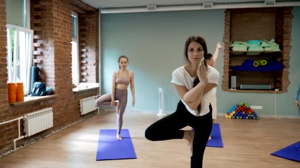 Las Personas Paran Sobre Una Pierna Las Poses Yoga Sobre — Vídeo de stock