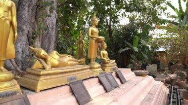 Wat Phra Singh Tapınağı, Chiang Mai, Tayland. Parktaki altın Buda heykellerinin çeşitliliği