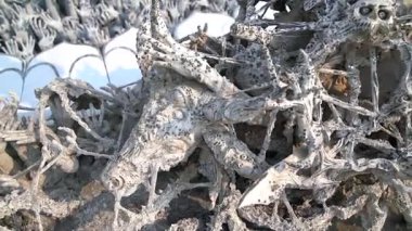 Wat Rong Khun Tayland 'ın Chiang Rai şehrinin yakınlarında bulunan bir Budist tapınağıdır.