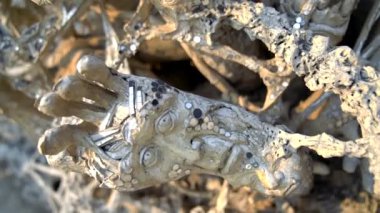 Wat Rong Khun Tayland 'ın Chiang Rai şehrinin yakınlarında bulunan bir Budist tapınağıdır.