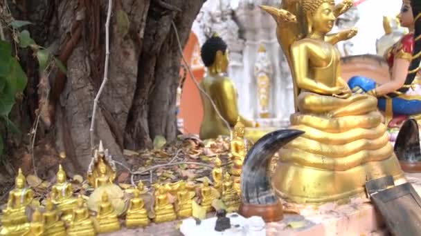 Wat Phra Singh Temple Chiang Mai Tailândia Variedade Esculturas Douradas — Vídeo de Stock
