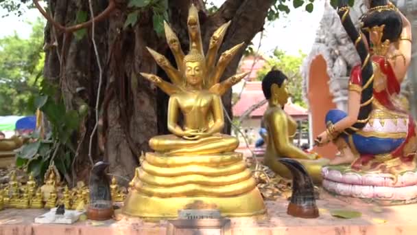 Templo Wat Phra Singh Chiang Mai Tailandia Variedad Esculturas Doradas — Vídeo de stock
