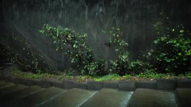 Galitskogo Park, Krasnodar 'da güzel bir gece çeşmesi