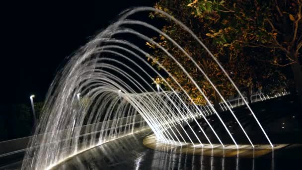 Krásná Noční Fontána Parku Galitskogo Krasnodar — Stock video