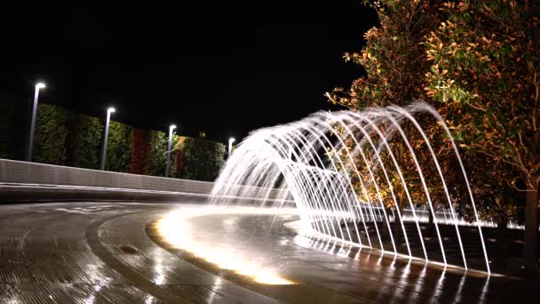 Beautiful Night Fountain Galitskogo Park Krasnodar — Video
