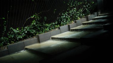 Galitskogo Park, Krasnodar 'da güzel bir gece çeşmesi