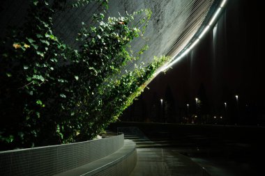 Krasnodar 'daki Galitskogo Parkı' ndan akan bir kase şeklinde gece çeşmesi.