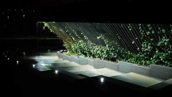 Krasnodar 'daki Galitskogo Parkı' ndan akan bir kase şeklinde gece çeşmesi.