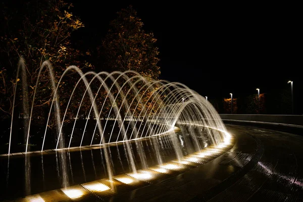 Beautiful Night Fountain Galitskogo Park Krasnodar — Stock Fotó