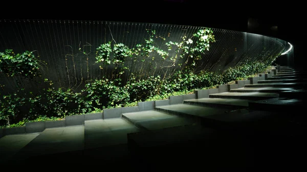 Krasnodar 'daki Galitskogo Parkı' ndan akan bir kase şeklinde gece çeşmesi.