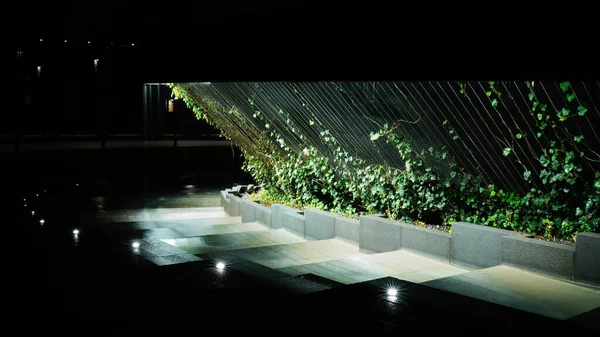 Krasnodar 'daki Galitskogo Parkı' ndan akan bir kase şeklinde gece çeşmesi.